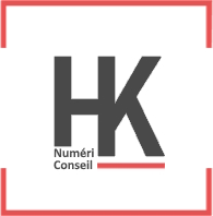 Logo Numerik Conseil